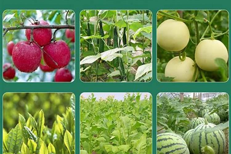 果树何时喷施磷酸二氢钾效果最好