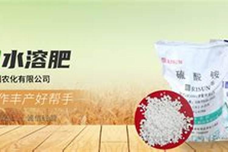 济南市肥料公司有哪些