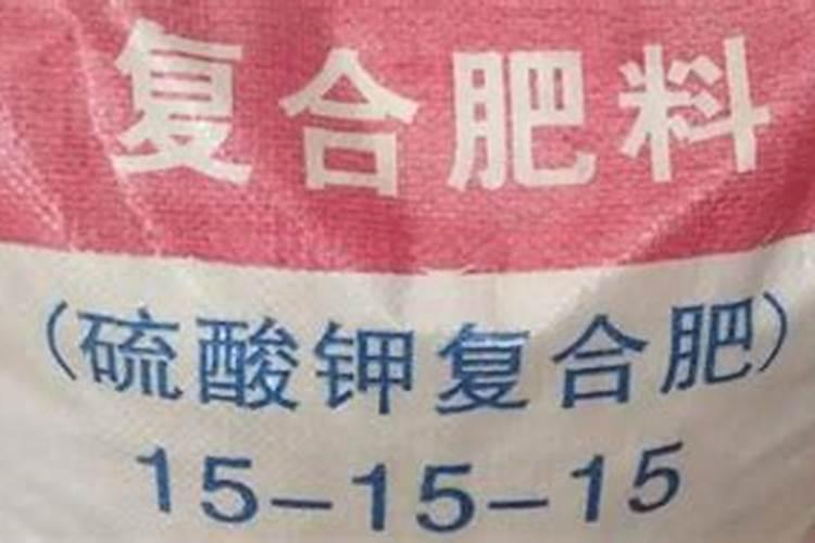 茄子施肥方法和注意事项