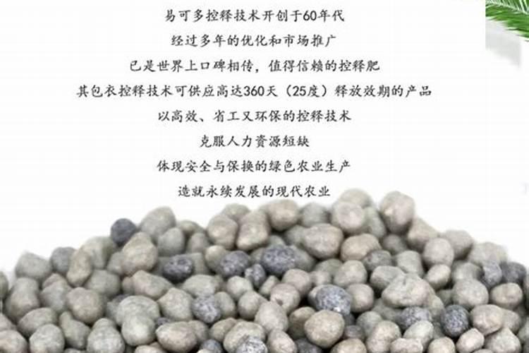 西红柿施肥时间西红柿什么时候施肥