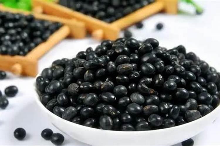 黑豆发酵水可以浇哪些花