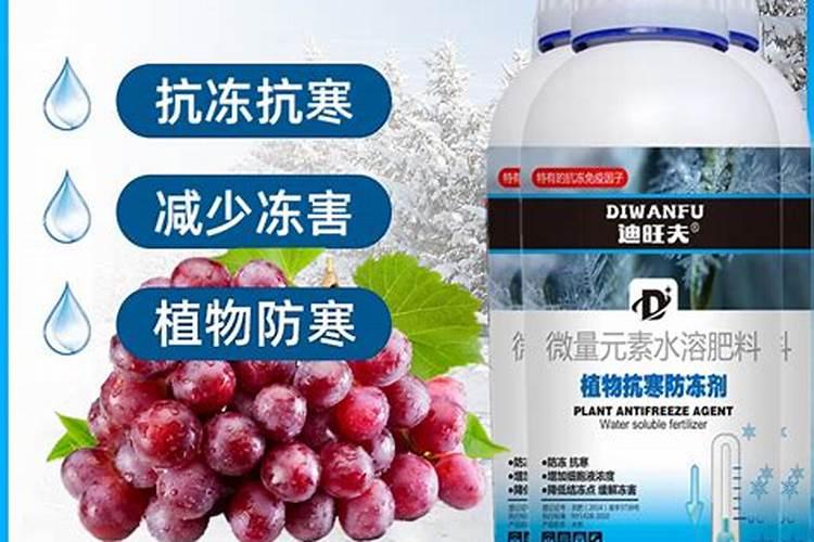 葡萄如何使用叶面肥？