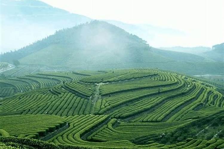 谁知道含氟牙膏用法