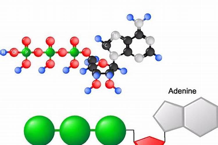 氮肥分为哪两类