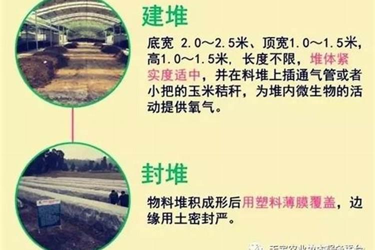 如何腐熟有机肥？