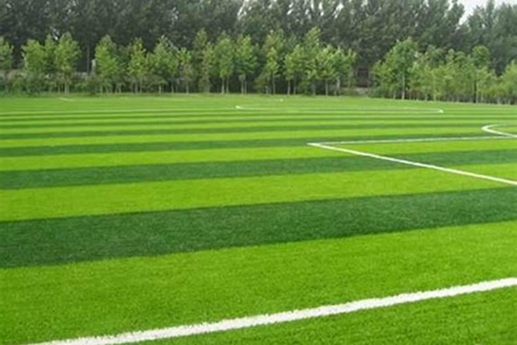 草坪一平需要多少钱肥料