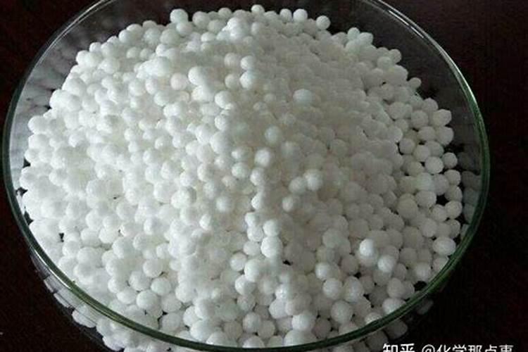 海南渔港海鲜市场如何