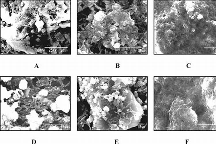什么情况下水草缸缺磷厉害