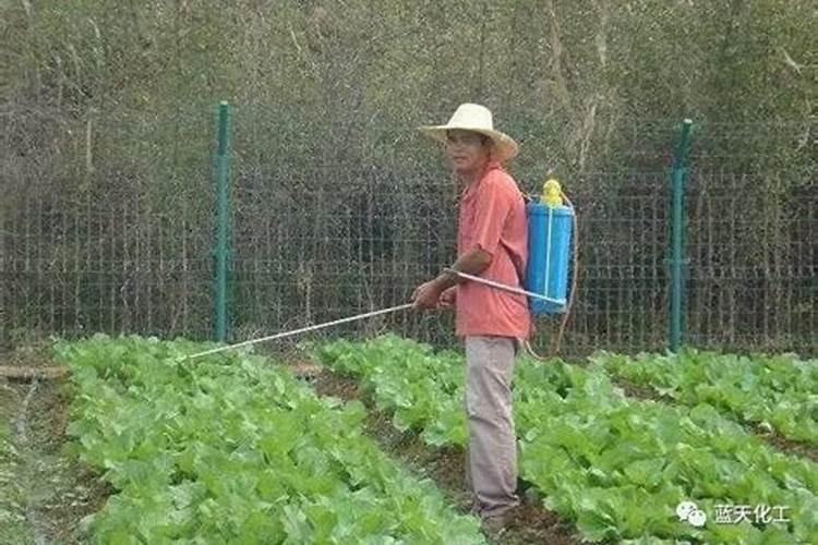 加拿大孕妇钙片什么牌子好