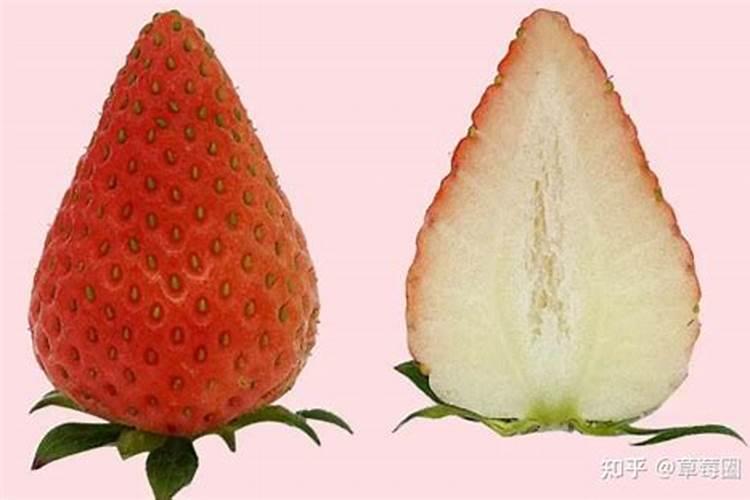 草莓高钾肥的使用方法