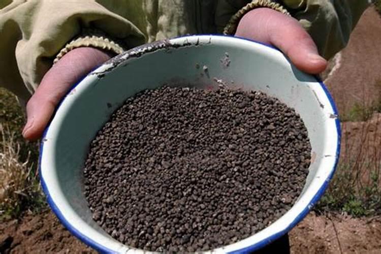 你觉得啤酒大麦怎么确定磷肥的用量？