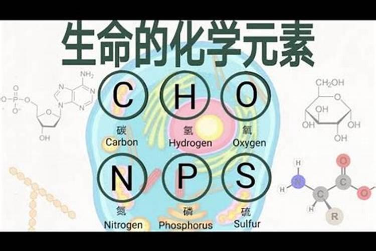 肥料的种类有哪些