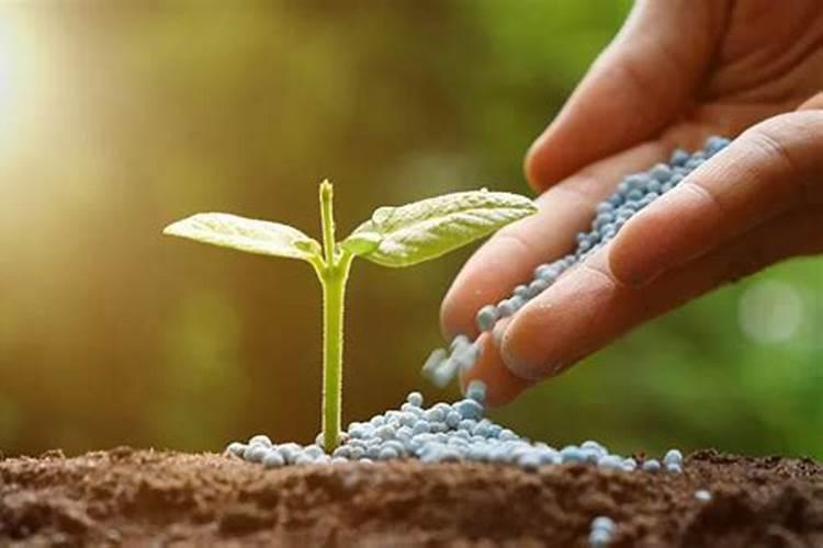 深入理解《到2025年化肥减量化行动方案》