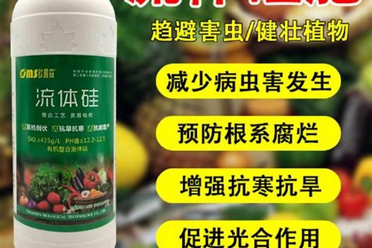 农用硅肥有哪些