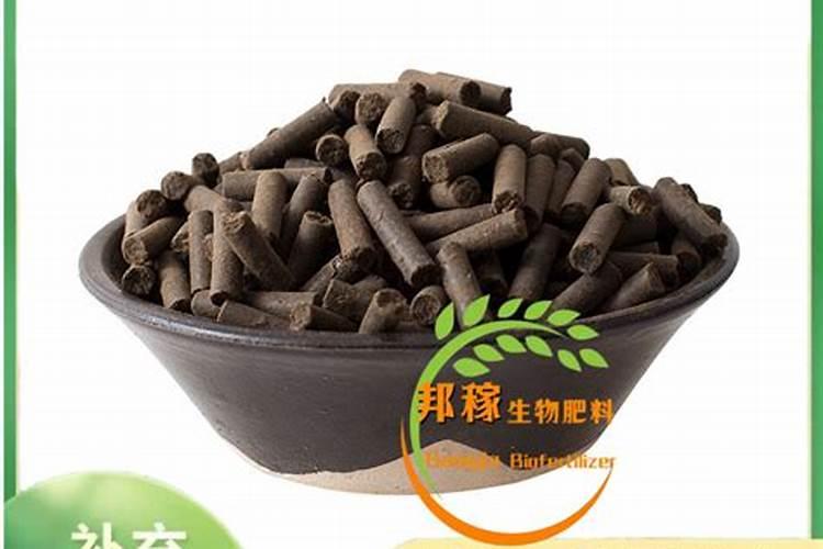 生物菌肥可以治病吗