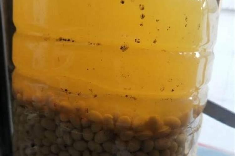 种植农作物的时候使用腐熟的黄豆粉做肥料,有什么好处？