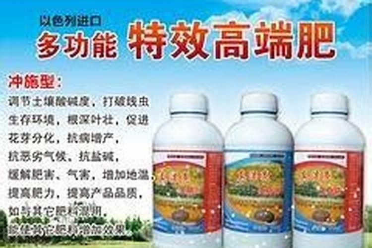 西红柿补硼肥害处