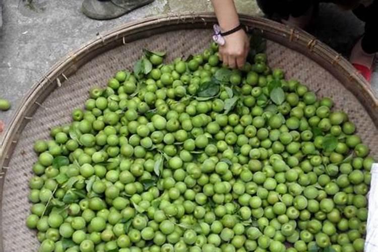 葡萄不甜、没有那种香味,果粉还少得可怜,如何来补救呢？