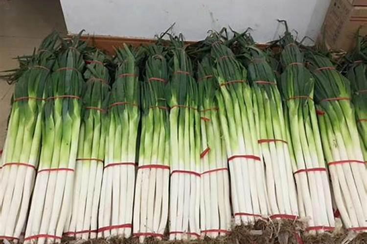 如何给花施磷肥