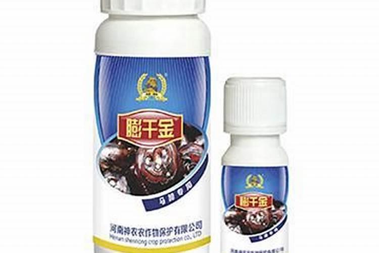 马蹄白粉病用什么药效果最好