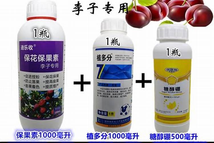 李子施什么肥比较甜