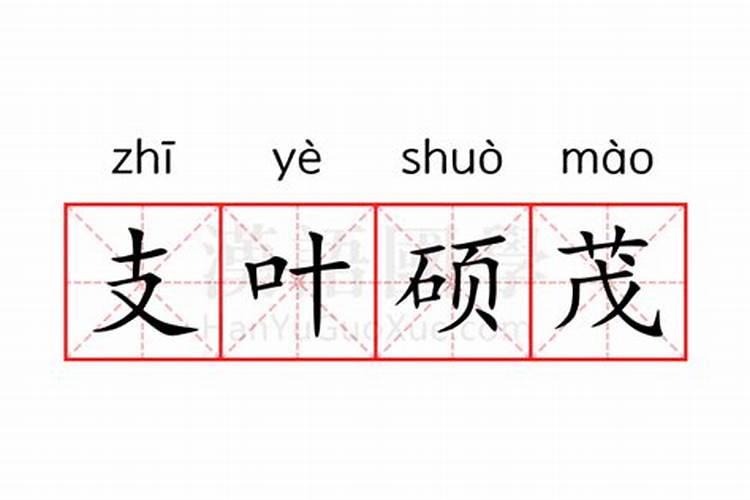 玉米专用叶面肥什么牌子好