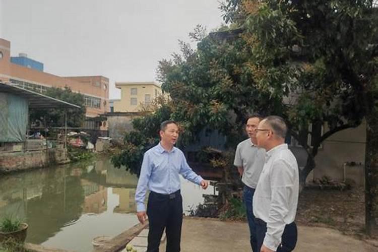 玉米叶面肥啥牌子的好