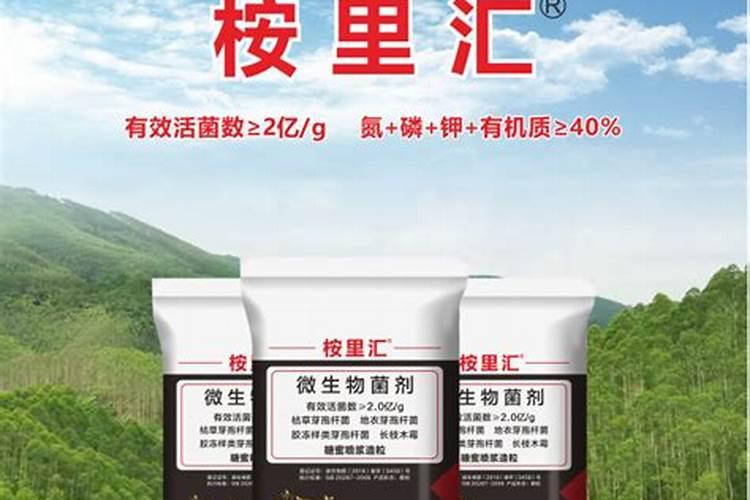 桉树用什么肥料最合适