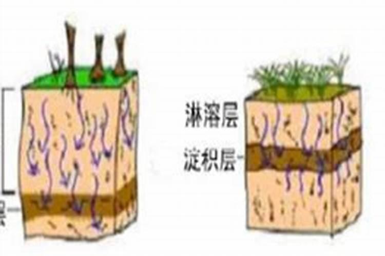 土壤酸化,作物减产凶手之一!要如何怎么破解？