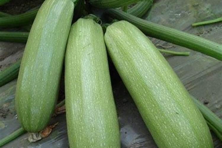蔬菜如何追肥