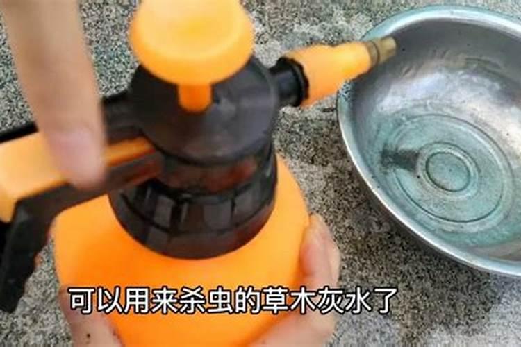 草木灰如何给果树施肥