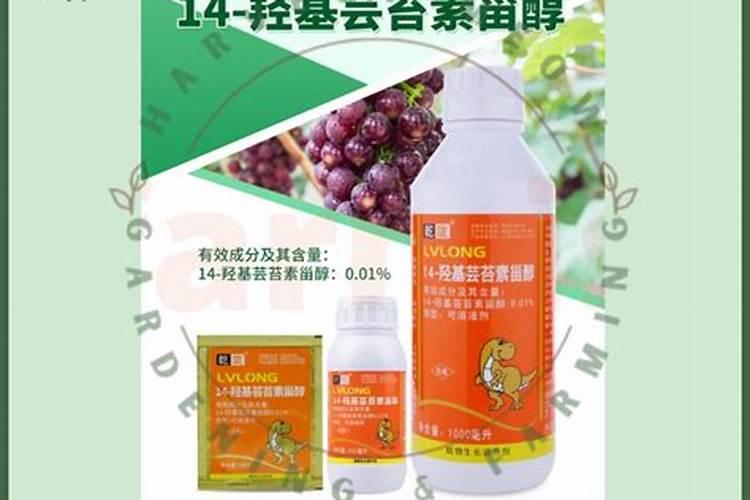 芸苔素从哪种植物中可以提取