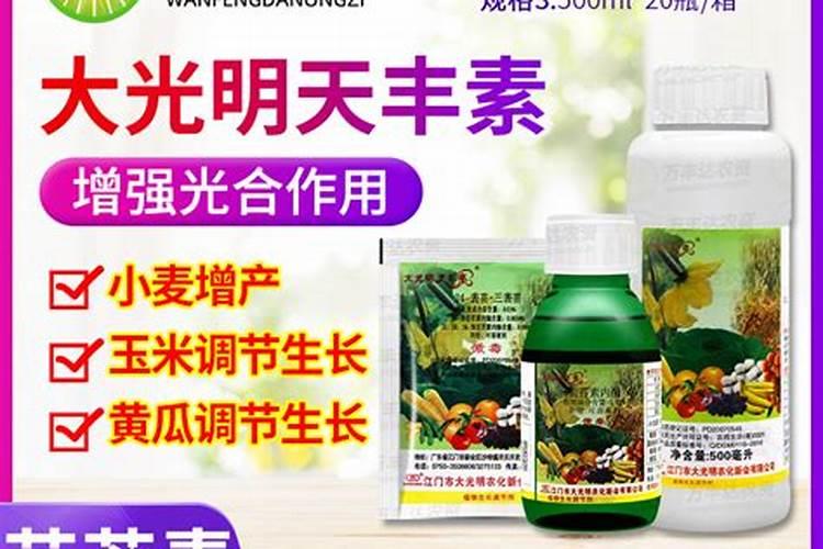 玉米幼苗能打芸苔素吗