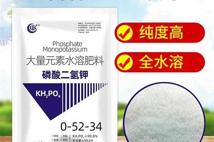 蓝莓可以施磷酸二氢钾吗