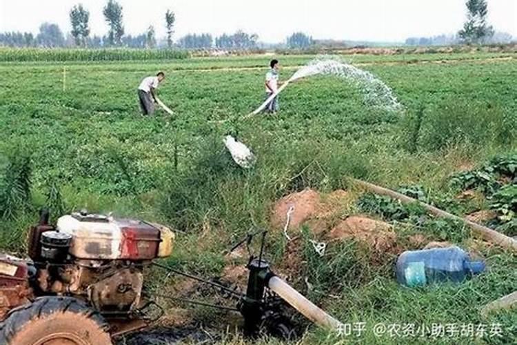 氨基酸水溶肥十大品牌
