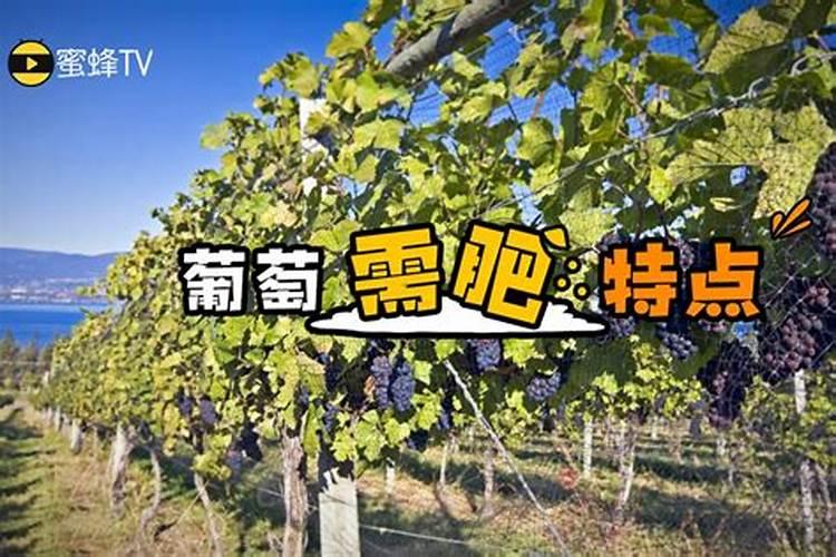 高氮高钾肥料的作用是什么