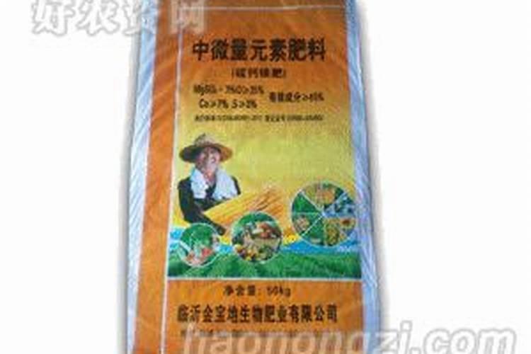 玉米叶面肥有哪些
