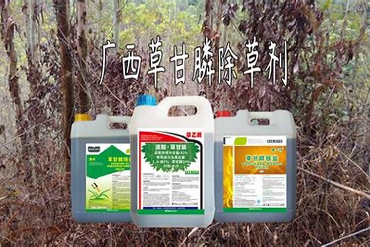 玉米误打草甘膦己五天上面叶子己发黄还可以解救吗