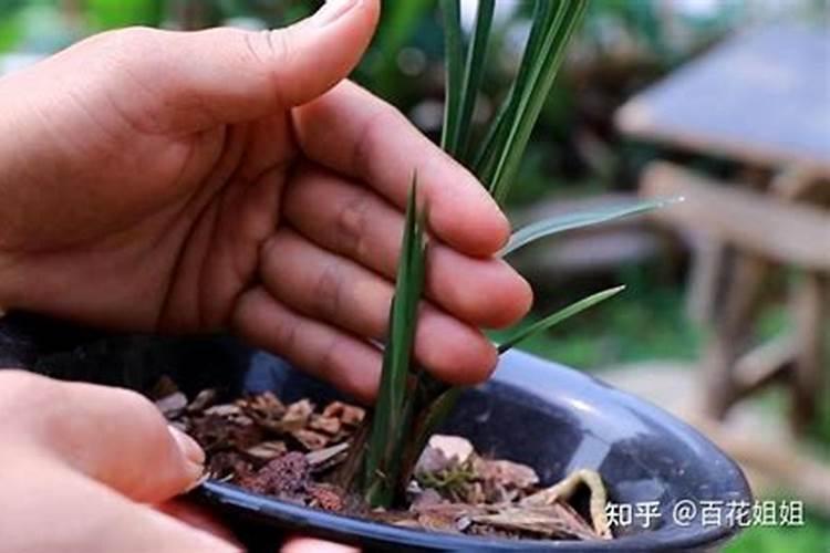 青岛迪诺肥料有限公司怎么样？