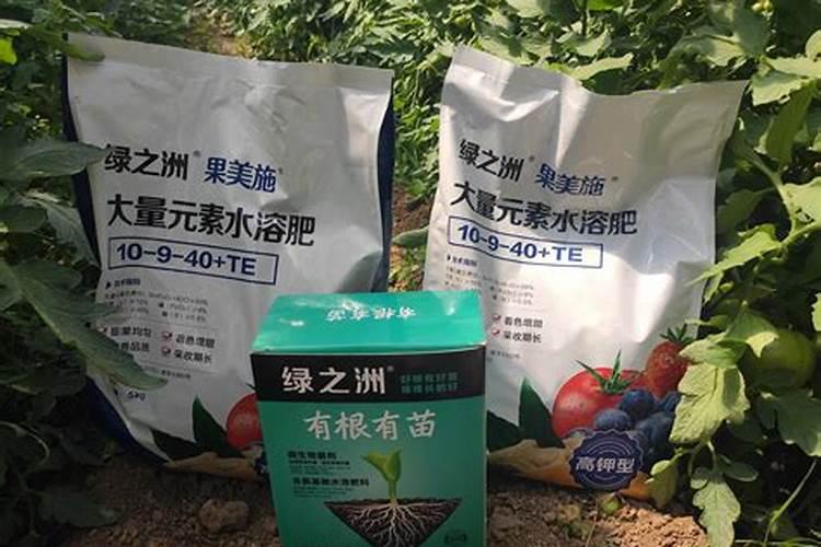 枇杷打不打叶面肥？如果打怎样打