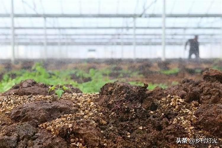 一亩地需要多少化肥