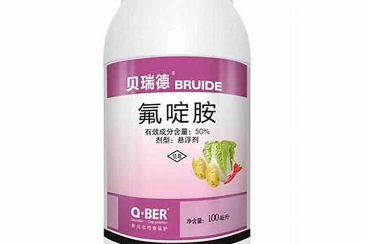 地豆王的种植方法是什么？