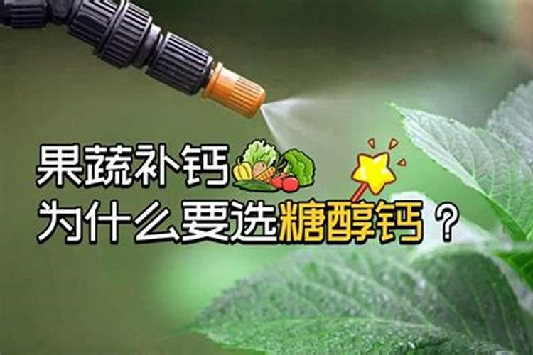 无花果如何施肥 无花果怎么施肥好