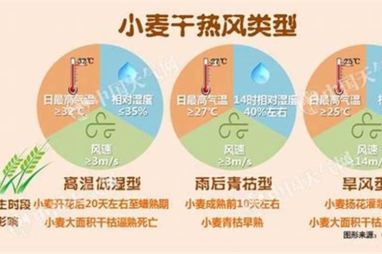 小麦干热风怎么防治,小麦干热风什么时间施药