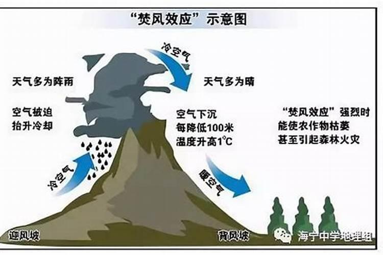 桃树干热风怎么办