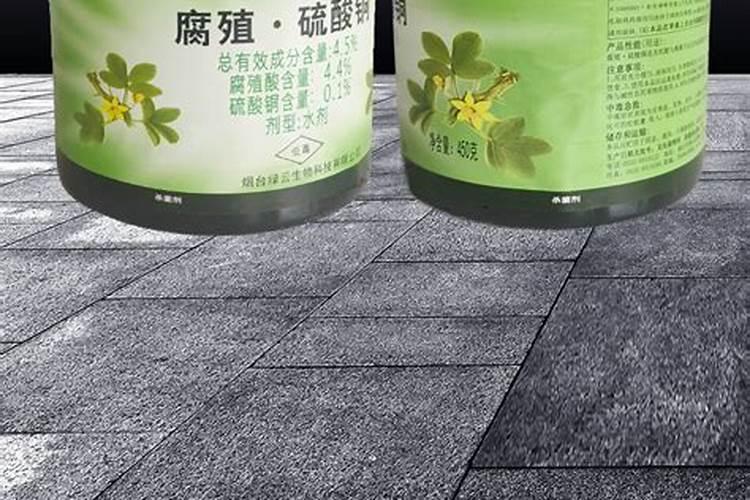 大树臭得快用什么药