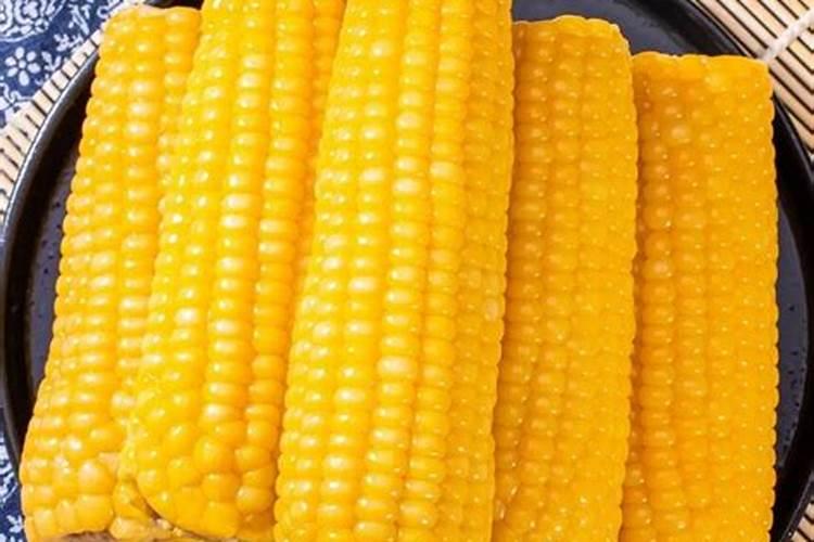 玉米什么时间施硼肥好