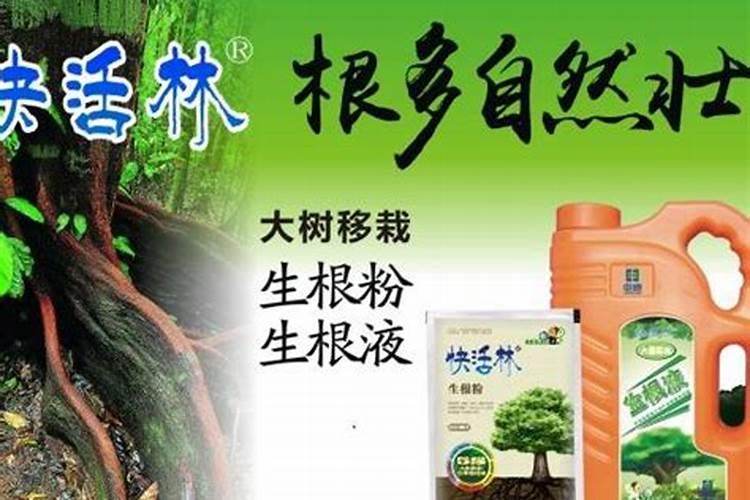 盆栽空根快生根的方法 盆栽空根怎样快生根