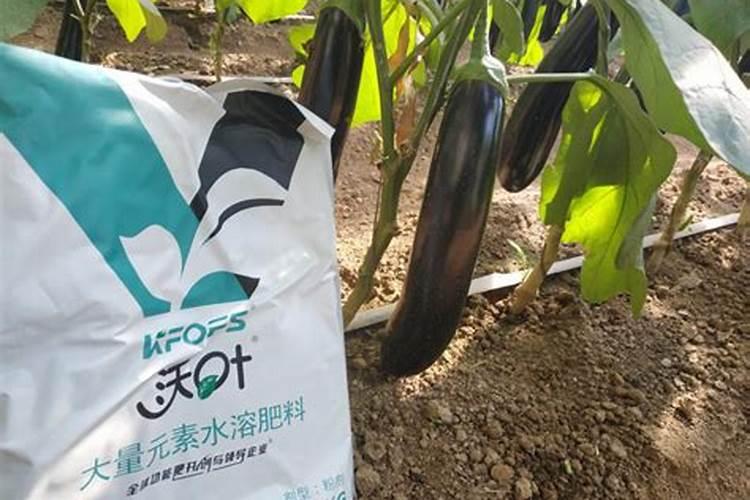 氨基酸水溶肥的危害