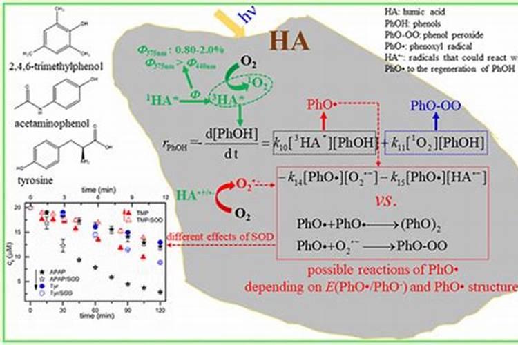 腐殖酸有什么作用